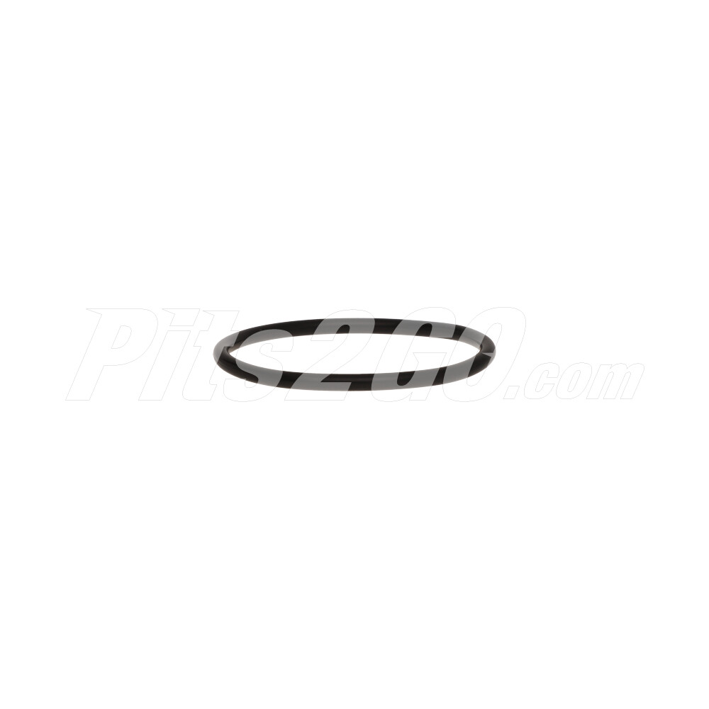 Oring / bomba alta para Camión, Marca Freightliner, compatible con Unimog image number 2