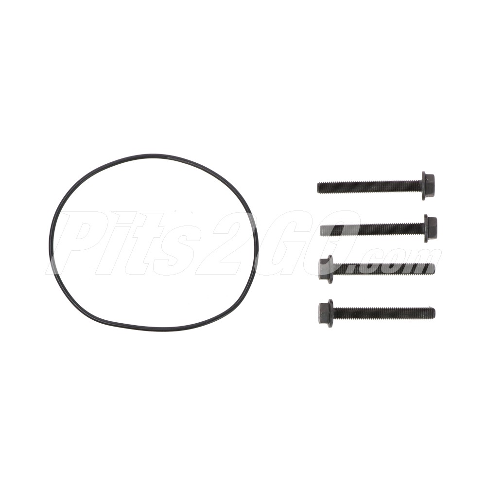 Cabeza cilindro om926 para Tractocamión, Marca Freightliner, compatible con OM926 image number 2