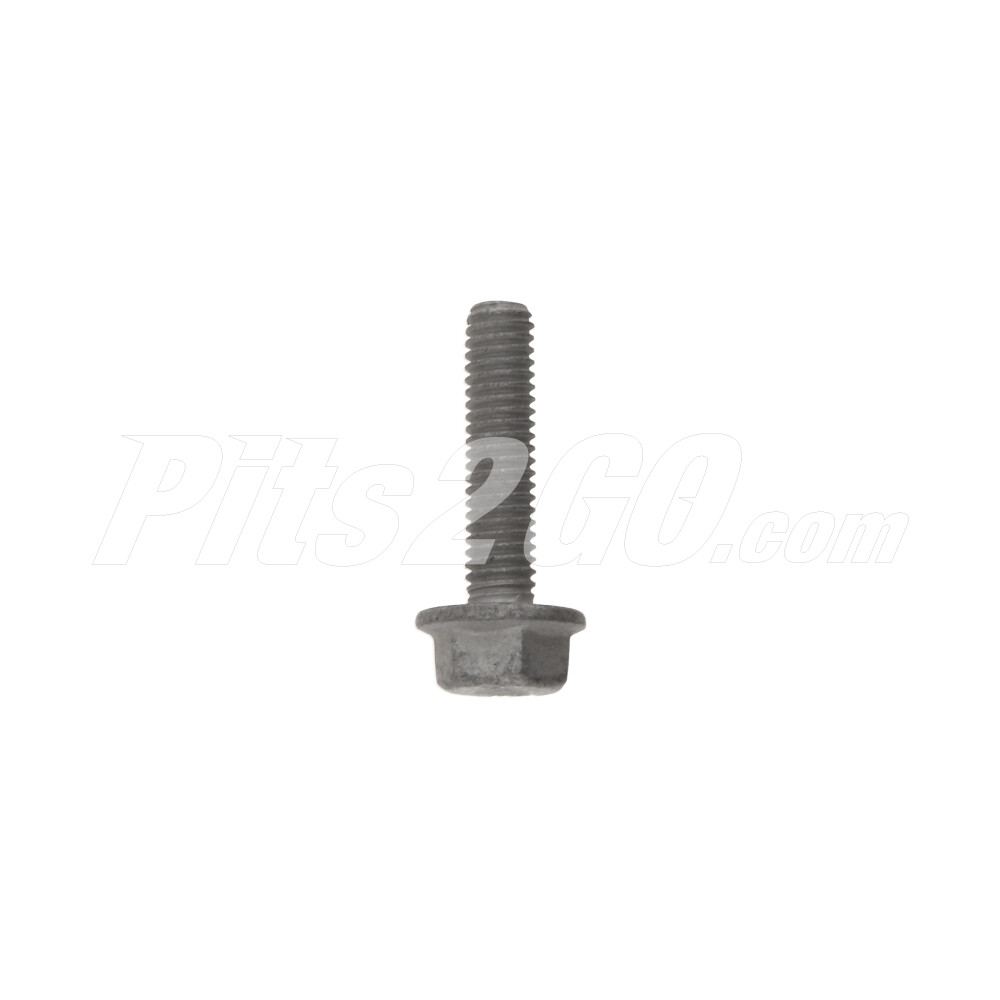 Tornillo fijación para Buses, Marca Freightliner, compatible con OMC image number 1